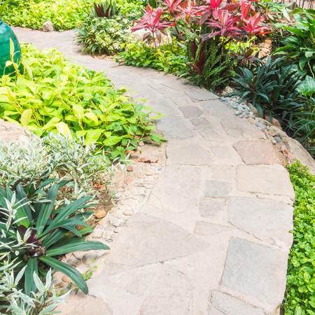 Gartenweg gepflastert mit grünen Büschen und Sträuchern außen rum.